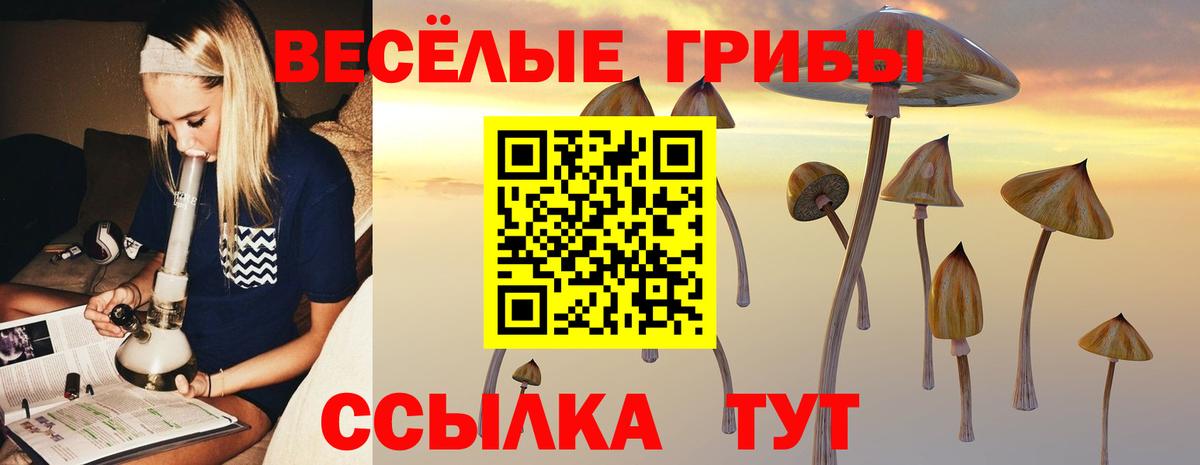 Псилоцибиновые грибы мицелий  Галлюциногенные грибы мухоморы  Вход с VPN  Карталы 