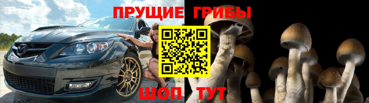 Галлюциногенные грибы Magic Shrooms Карталы